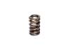 CCA Valve Springs