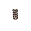 CCA Valve Springs
