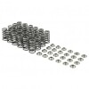 SK Pro Valve Springs