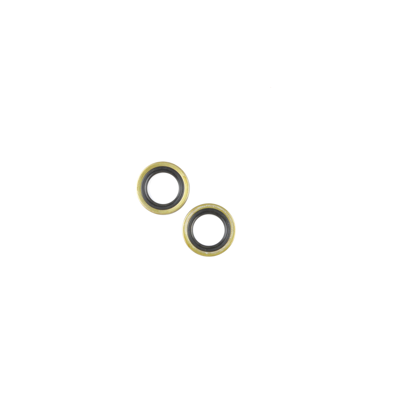 CG Oil Seal Kit