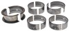 CLE Main Bearing Set