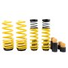 STS Lowering Springs