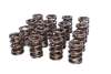 CCA Valve Spring Sets