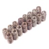 FR Valve Spring Kits