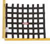 RaceQuip Black 18 X 21 SFI Ribbon Net thumbnail 3
