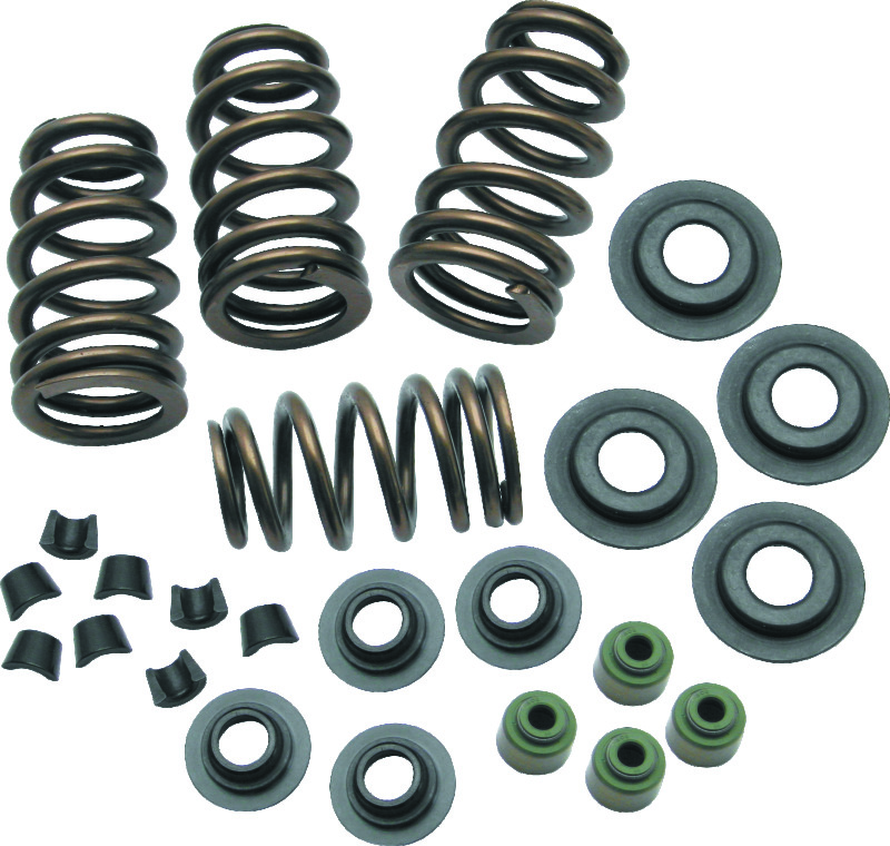 SSC Valve Springs