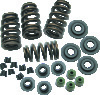 SSC Valve Springs