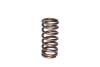 CCA Valve Springs