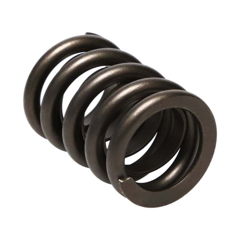 MAN Valve Springs