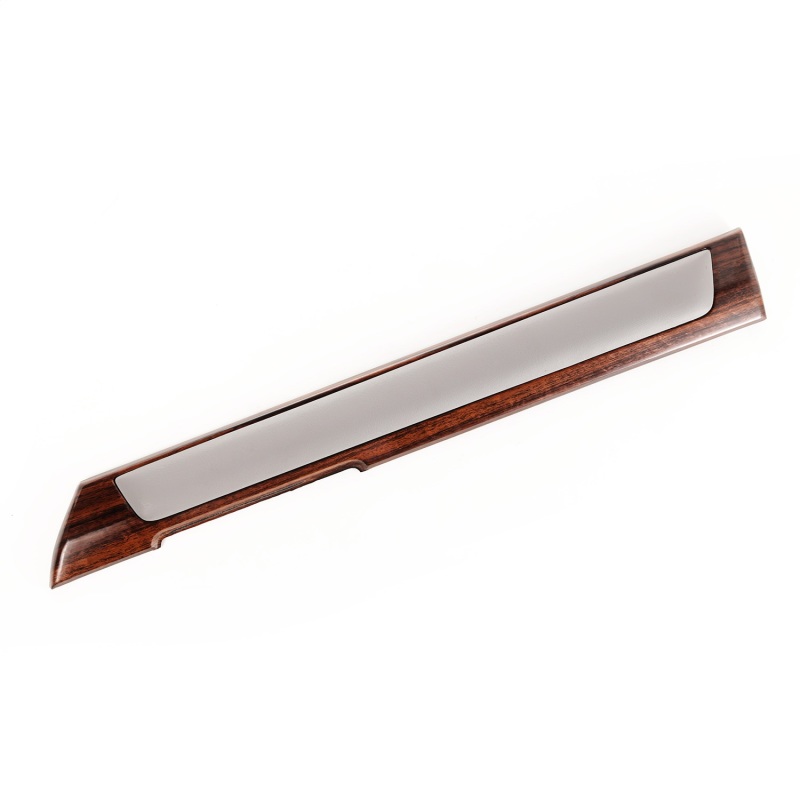 Door Trim Panel Molding