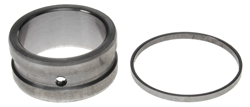CLE Rear Bal Shaft Bearings