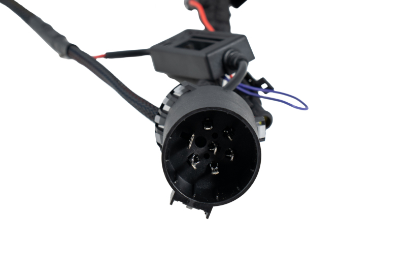 Diode Dynamics C1R 7-pin (Single) Output Trailer Harness thumbnail 4