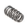 MAN Valve Spring Kits