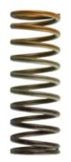TS Wastegate Springs
