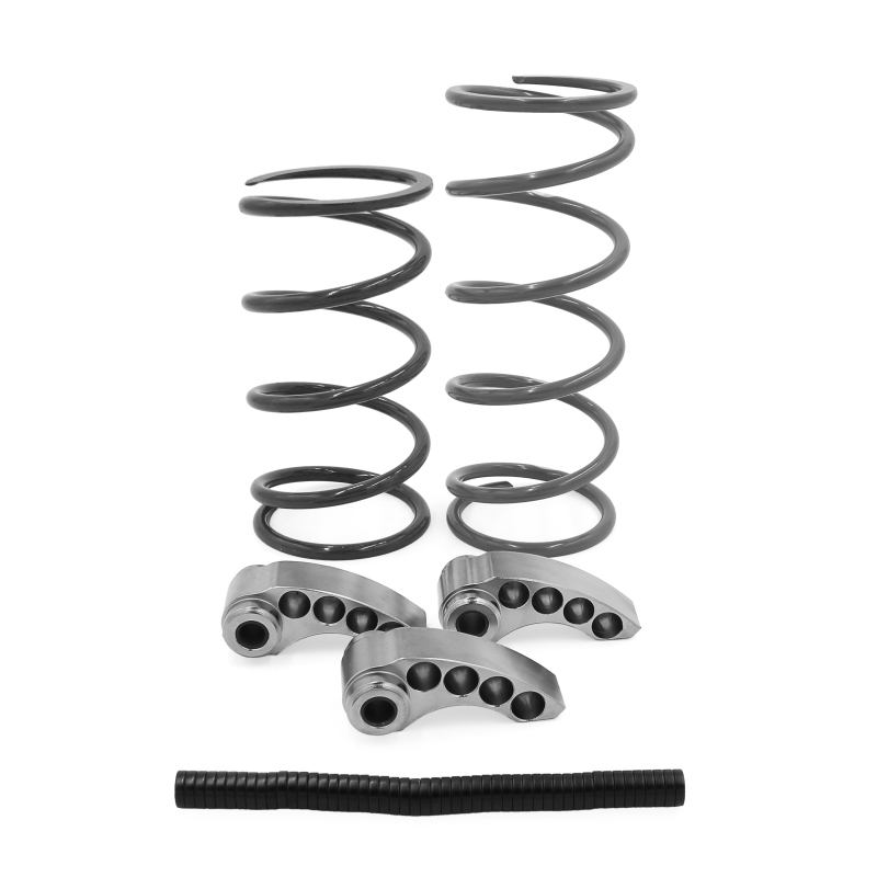 EPI Pro Series Clutch