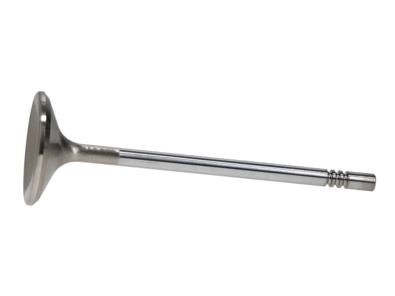 Manley Ford 4.6L 38.5mm Race Master & Extreme Duty Exhaust Valves *Set of 8* thumbnail 9