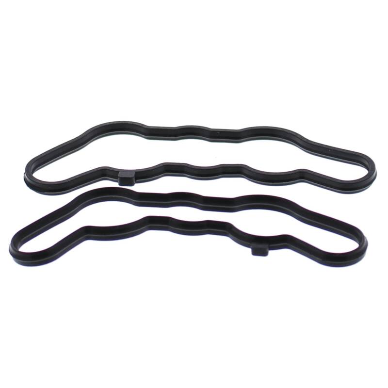 VEP Exhaust Gasket Kit