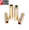 GSC Exhaust Valve Guides