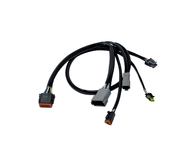 NAM Complete Harnesses