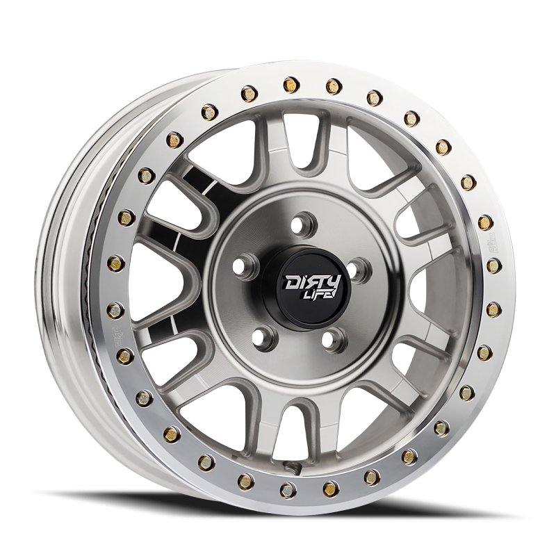DLW Canyon Pro 9309 Wheels