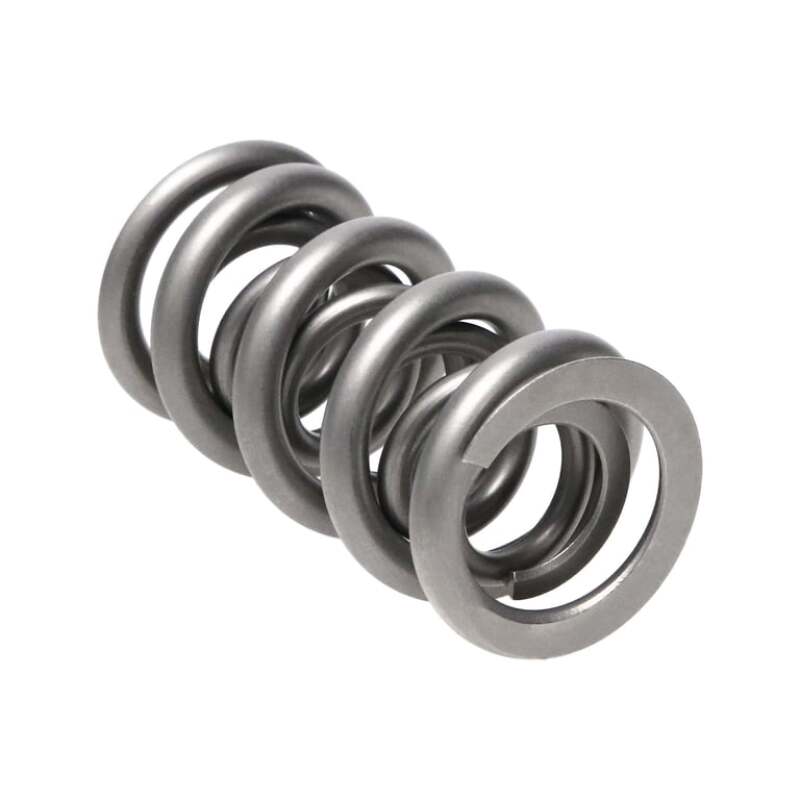 MAN Valve Springs