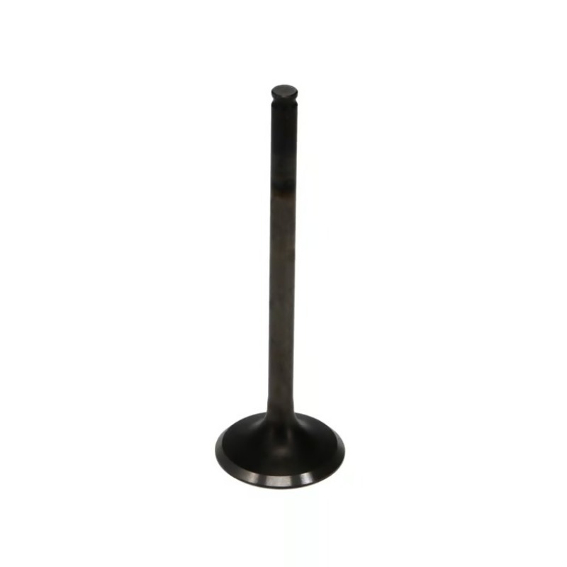 WIS Intake Valves