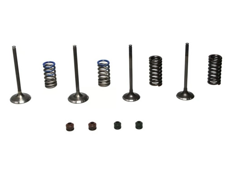 WIS Valve Kits