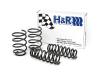 HR Super Sport Springs
