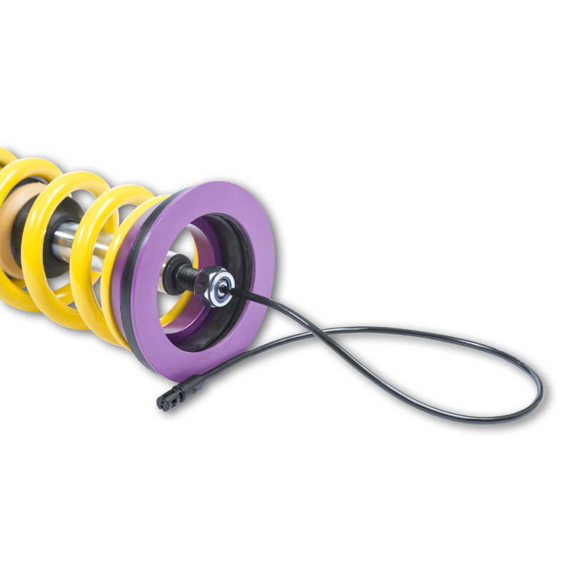 DDC Plug and Play Coilover Kits 39030001 Kit, & Kit, Ford Focus RS 2016+ thumbnail 6