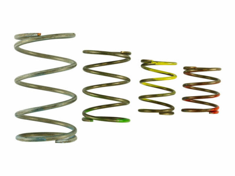 TS Wastegate Springs