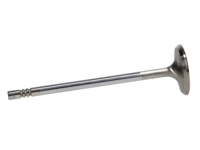 Manley Ford 4.6L 34mm Diameter 117.35mm Length Race Master Exhaust Valves (Set of 8) thumbnail 6