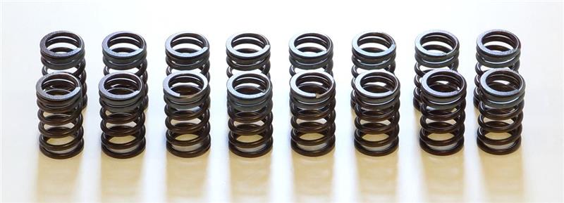 HKS Valve Springs