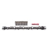 EDE Performer Camshaft