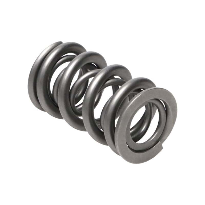 MAN Valve Spring Kits