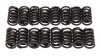EDE Valve Springs