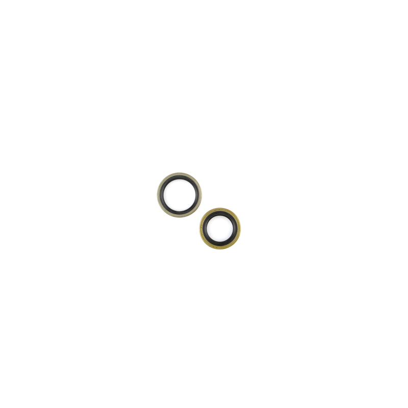 CG Oil Seal Kit