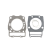CG Powersports Head Gasket
