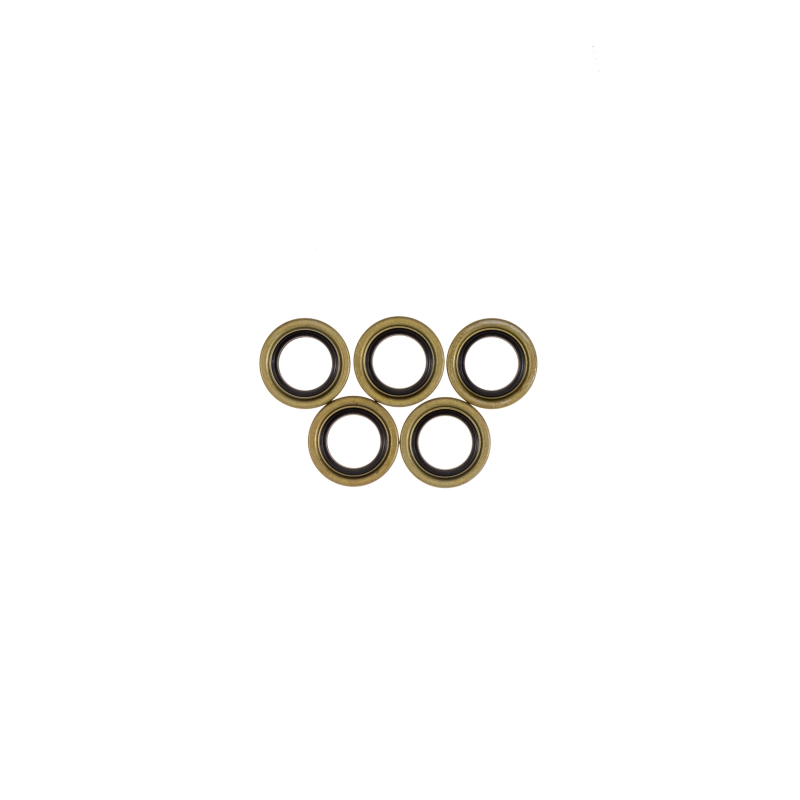 CG Oil Seal Kit