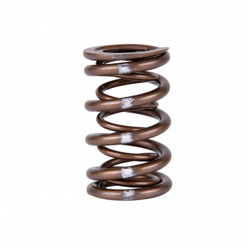 SK Pro Valve Springs