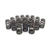 CCA Valve Spring Sets