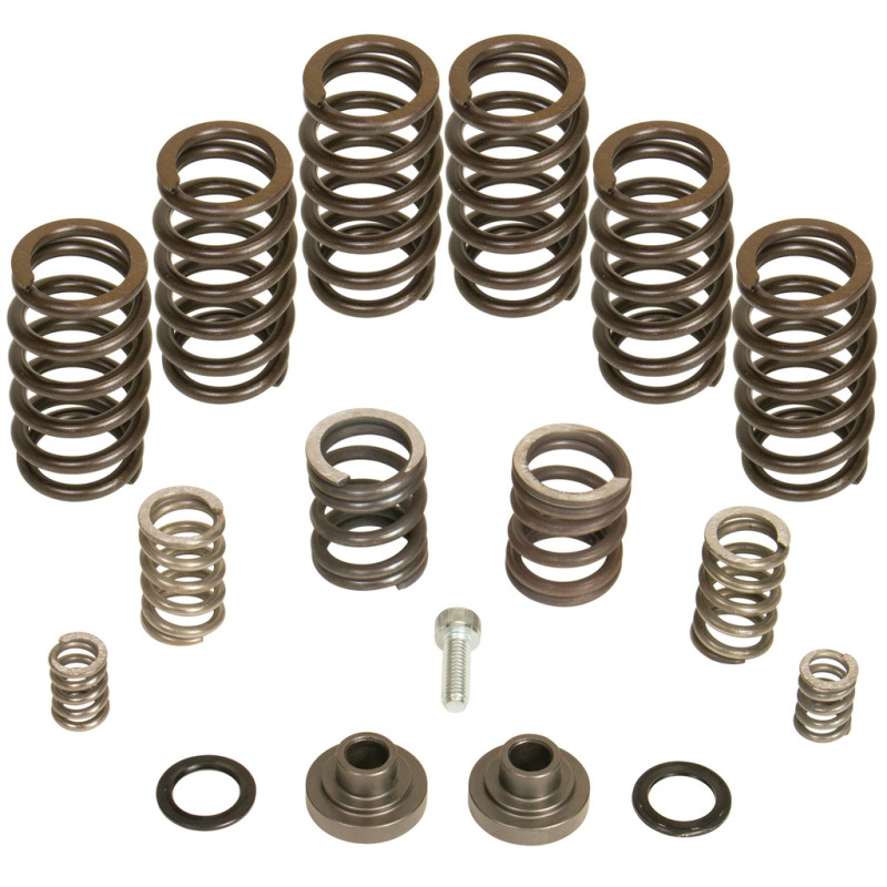 BD Diesel Governor Spring Kit 4000rpm - 1994-1998 Dodge 12-valve/P7100 Pump thumbnail 2