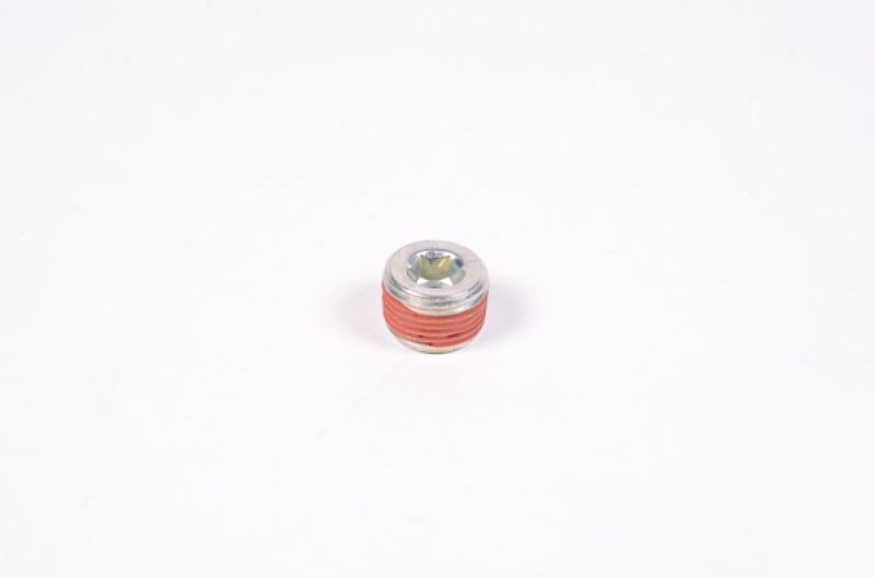 Radium Engineering 3/8in NPT Plug thumbnail 2