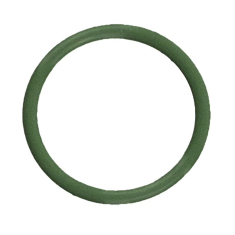 FEL Injection Idle Air Control Valve Seals