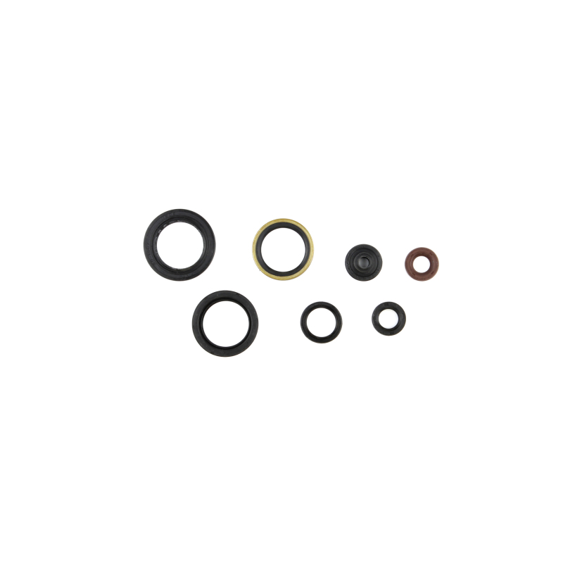 CG Oil Seal Kit