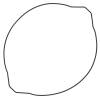VEP Clutch Cover Gasket