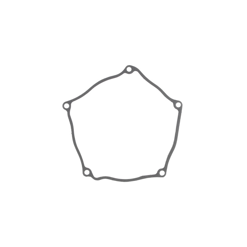 CG Clutch Gasket