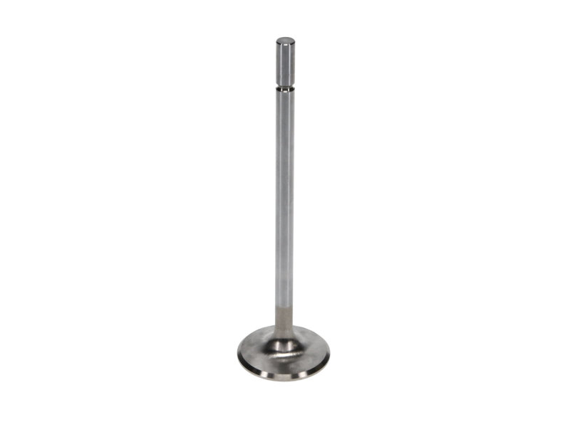 Manley Ford 4.6L/5.4L DOHC 4V 37mm Dia 5.339in Length Bead Loc Race Master Intake Valves (Set of 8) thumbnail 9