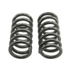 BT Coil Spring Set
