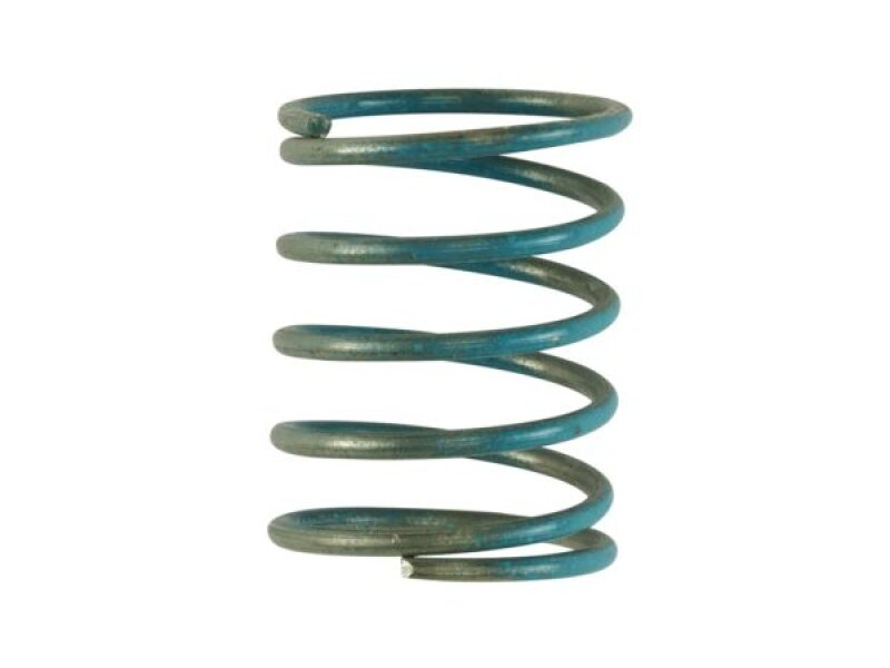 TS Wastegate Springs