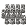 SPT Beehive Valve Springs